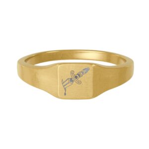 Engraved Stabby Signet Ring (Stainless Steel)